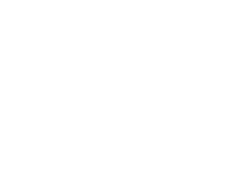 Alexandru V Negoita